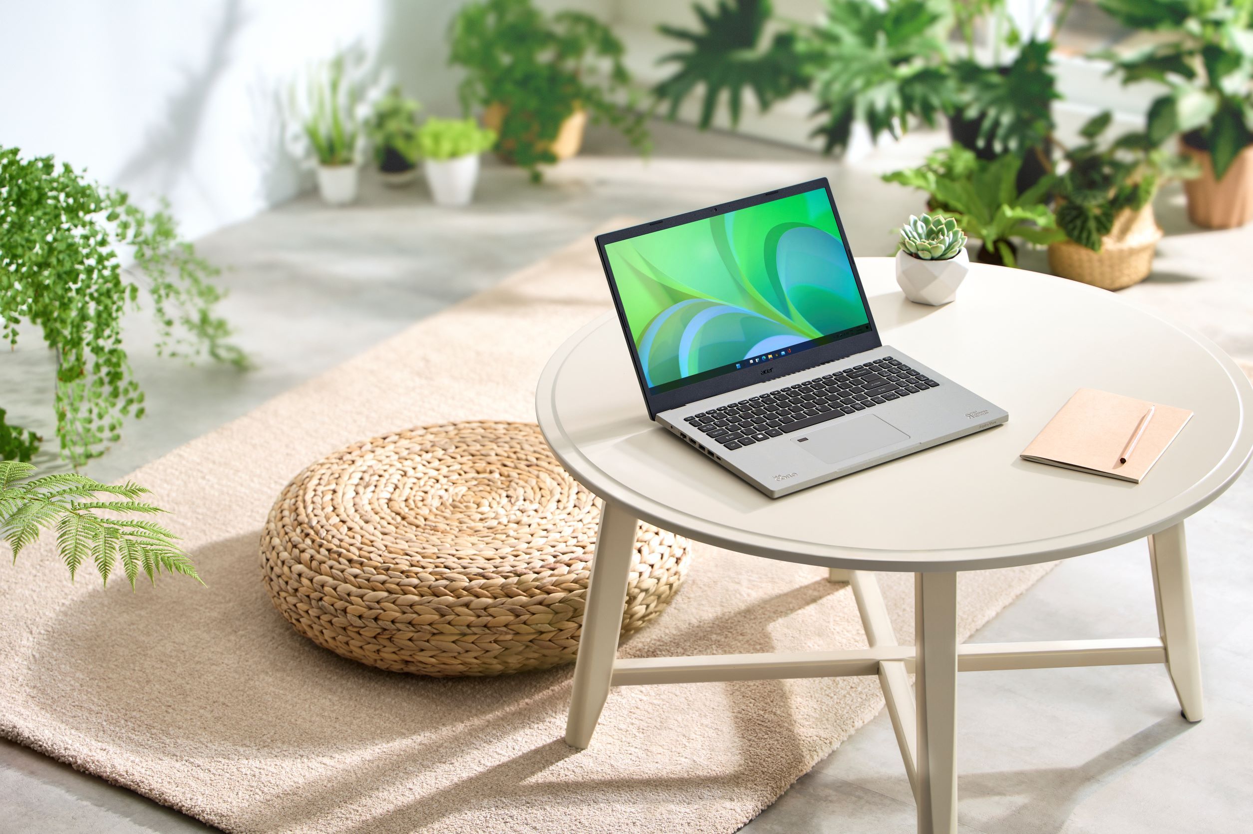 Cinco cosas que no sabías de Acer y que la hacen más verde